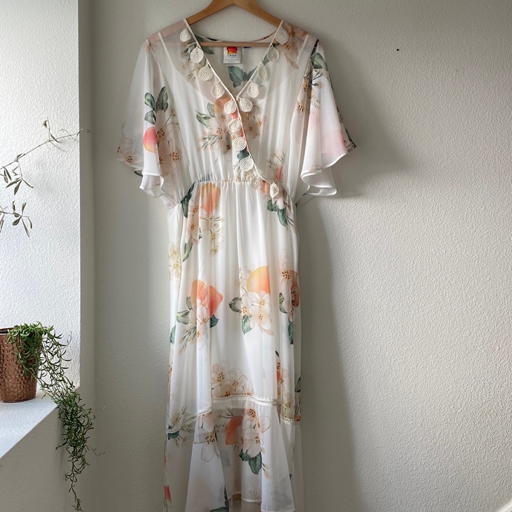 Farm Rio for Anthropology long sheer dress